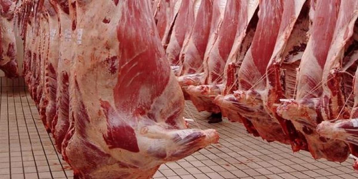 ارتفاع أسعار اللحوم الحمراء في بيوت اللحوم بالدار البيضاء